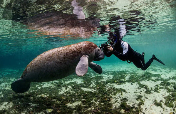 Underwater Photography