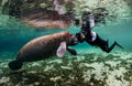 Underwater Photography