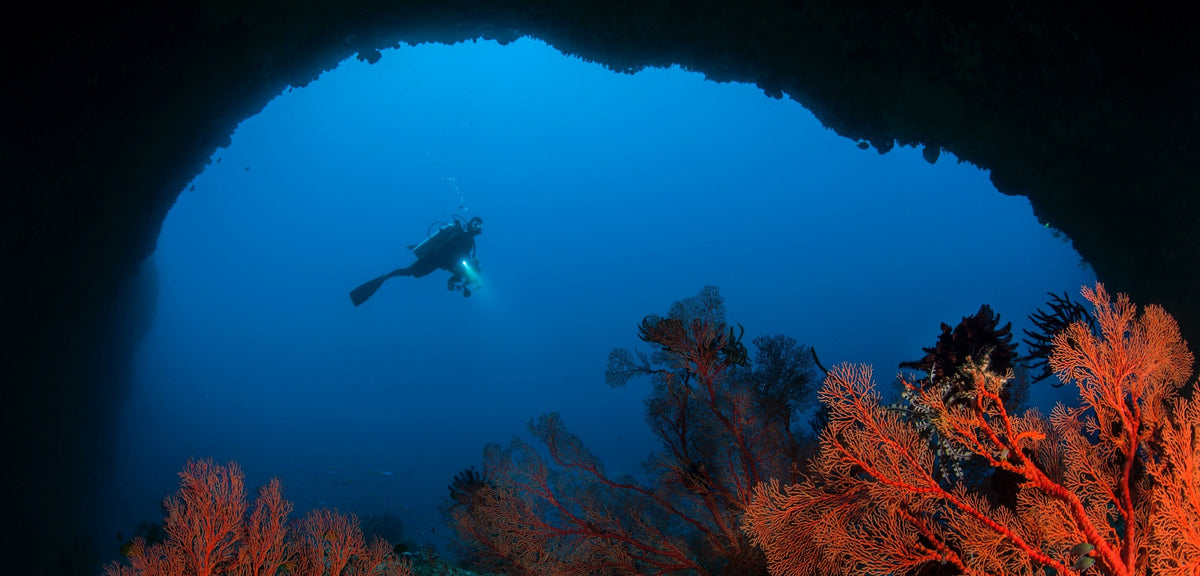 Underwater Photography
